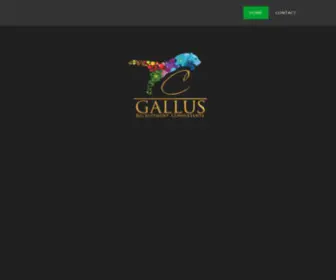 Gallusrecruit.co.za(Built with SitePad) Screenshot