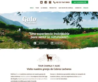 Galodeallende.com(Tour Chapala Ajijic) Screenshot