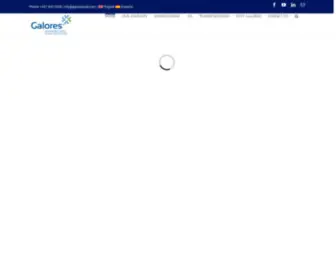 Galoresgroup.com(Galoresgroup) Screenshot