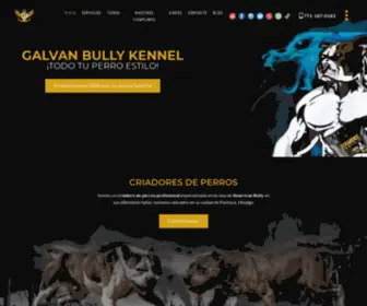 Galvanbullykennel.com(Criador de American Bully en Pachuca) Screenshot