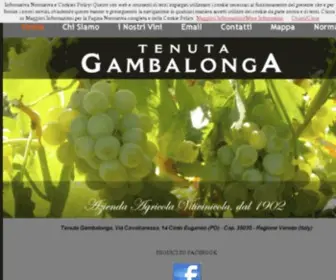 Gambalongavini.it(Azienda Vitivinicola Gambalonga Cinto Euganeo Padova Italia cantina vendita vino vini doc prosecco moscato cabernet sauvignon merlot raboso pinot max cuvee rosso bianco frizzante spumante rossi bianchi frizzanti spumanti bottiglia bottiglie vinoteca wine) Screenshot