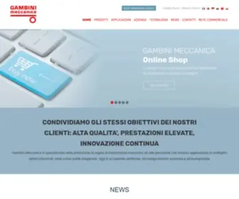 Gambinimeccanica.it(Gambini Meccanica specializzata nella produzione di ingranaggi meccanici di precisione) Screenshot