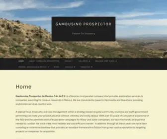 Gambusinoprospector.com(Gambusino Prospector) Screenshot