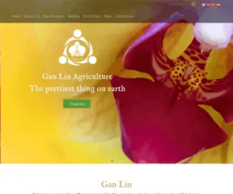 Gan-Lin.com(Phalaenopsis for sale) Screenshot