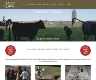 Ganaderiadepincha.com(Inicio) Screenshot