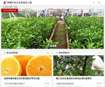 Ganjuwang.com(不知火) Screenshot