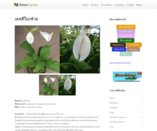 Gardenhon.com(จัดสวน) Screenshot