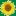 Gardeninginnewengland.com Favicon