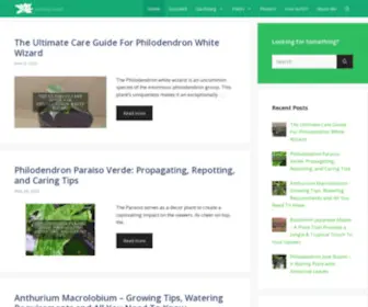 Gardeninglimited.com(Gardening Limited) Screenshot