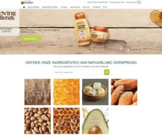 GarnierzorgVoorjezelf.nl(Natuurlijke schoonheid bloeit met Garnier Nederland) Screenshot