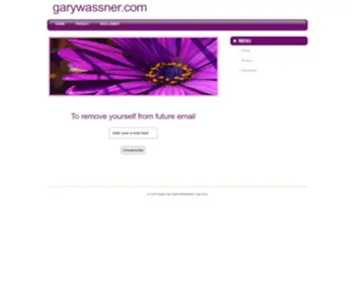 Garywassner.com(Garywassner) Screenshot