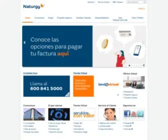 Gasnaturalfenosa.com.mx(Energía) Screenshot