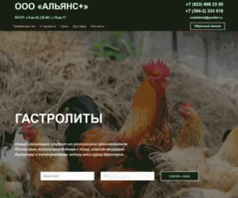 Gastrolit.ru(ГАСТРОЛИТЫ) Screenshot