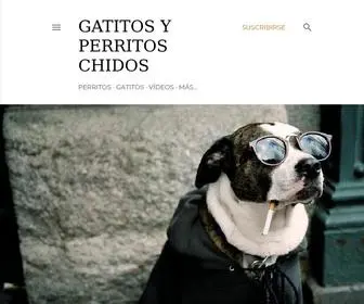 Gatitosyperritoschidos.com(Gatitos y Perritos Chidos) Screenshot