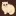 Gato-Persa.com Favicon