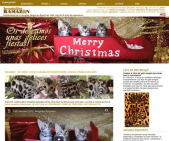 Gatobengali.com(El mejor gato bengalí se encuentra en el criadero del gato bengalí Ramazan) Screenshot