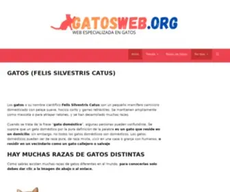 Gatosweb.org(Los Gatos Mas Bellos Del Mundo) Screenshot