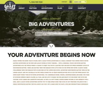 Gauley.com(White Water Rafting Trips) Screenshot