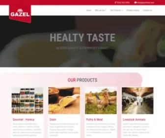 Gazelfood.com(GAZEL FOOD) Screenshot