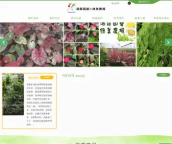 Gbgarden.com(溫暖多濕的熱帶雨林) Screenshot