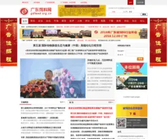Gdfeed.org.cn(广东省饲料行业信息网) Screenshot