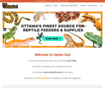 Geckogurl.com(Gecko Gurl) Screenshot
