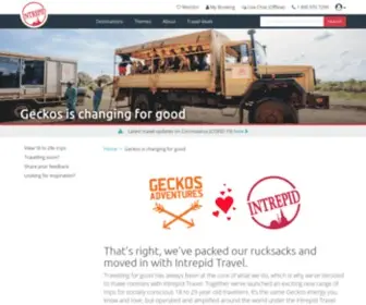 Geckosadventures.com(Geckos is changing for good) Screenshot