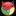 Geekjc.com Favicon
