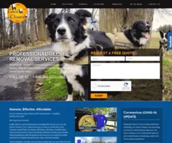 Geesechasers.com(Geese Removal) Screenshot