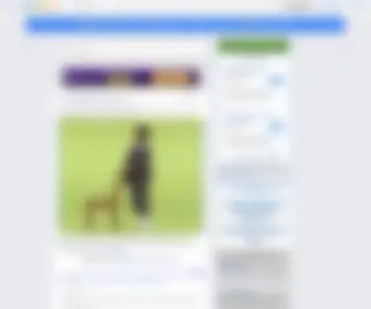 Geezgo.org(Fans etc.)) Screenshot