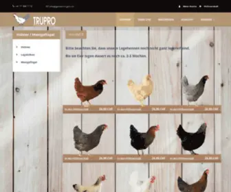 Geisser-Trupro.ch(Hühner) Screenshot