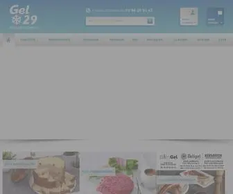 Gel29.com(GEL 29 : produits surgelés livrés à domicile) Screenshot