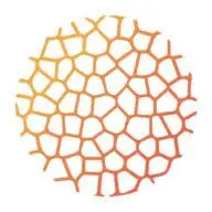 Generalcollect.com Favicon