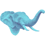 Geniochiara.it Favicon