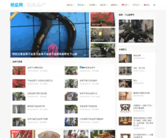 Genpen.com(根盆网) Screenshot