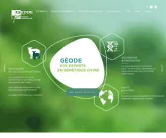 Geodesheep.com(Coopérative ovine) Screenshot