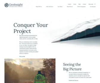 Geoinsightinc.com(geoinsightinc) Screenshot