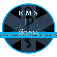 Georgiainstituteofems.com Favicon