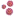 Germbustersnyc.com Favicon