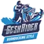 Geshrider.ru Favicon