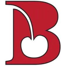Getbinged.com Favicon