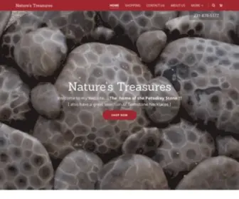 Getpetoskeystones.com(Get Petoskey Stones) Screenshot