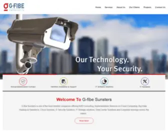 Gfibe.com(Gfibe) Screenshot