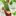 Gharelunuskhe.com Favicon