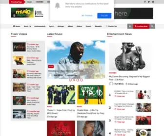 Ghmusichype.com(The Music Hotspot) Screenshot