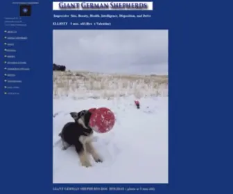 Giantgermanshepherds.com(Giantgermanshepherds) Screenshot