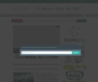 Gidaturk.com.tr(Gıda Türk) Screenshot