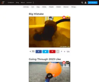 Gifsboom.net(Best GIFs of the Web) Screenshot