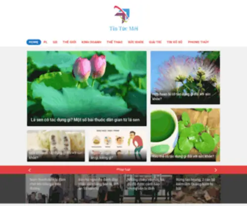Gig.vn(Tin tổng hợp Việt Nam) Screenshot