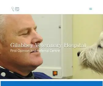 Gilabbeyvet.com(Gilabbey Veterinary Hospital and Referral Centre) Screenshot